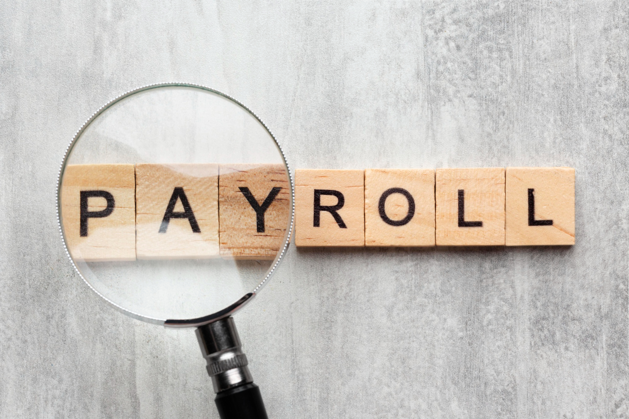 The Role of Payroll Management in Business Success